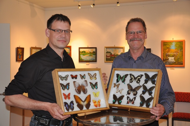 GH schmetterlinge neu