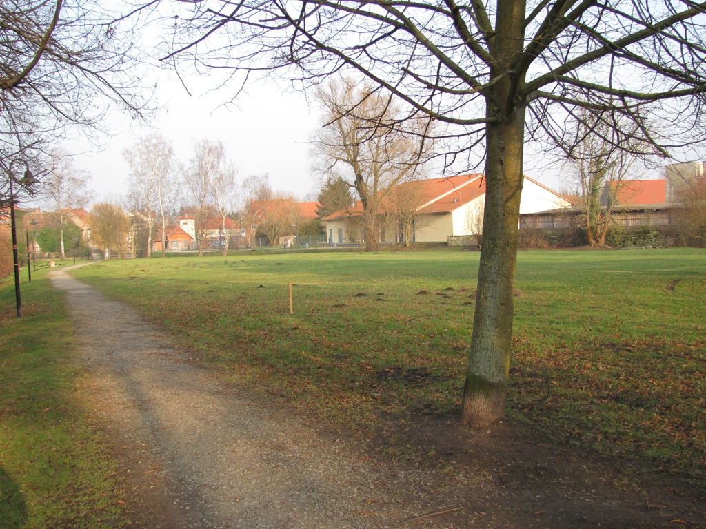 Planzort Kirschbaum Maria