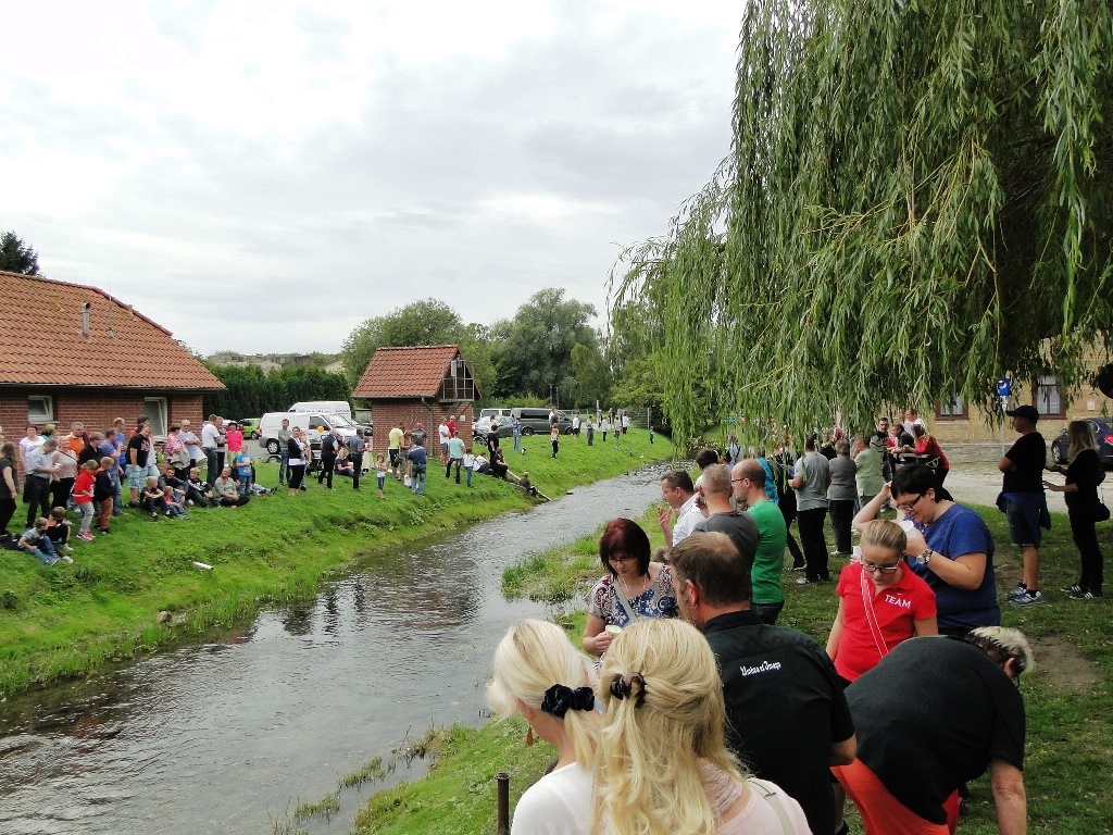 Mit Spannung werden die Enten erwartet