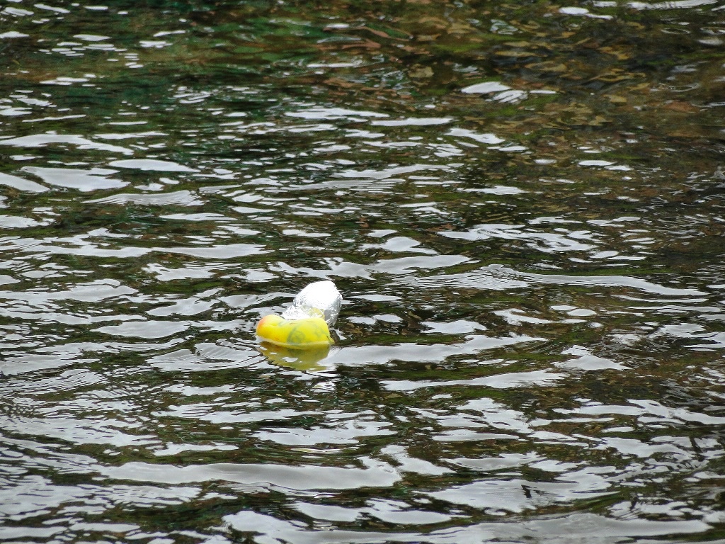 ...doch sie strauchelt