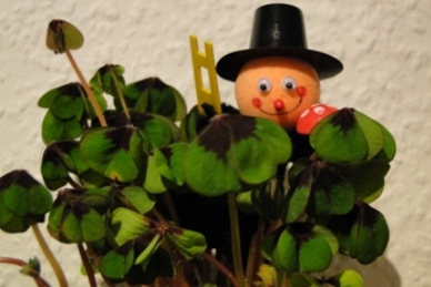 Gesundes Neues Jahr- euer Bürgerverein Weferlingen